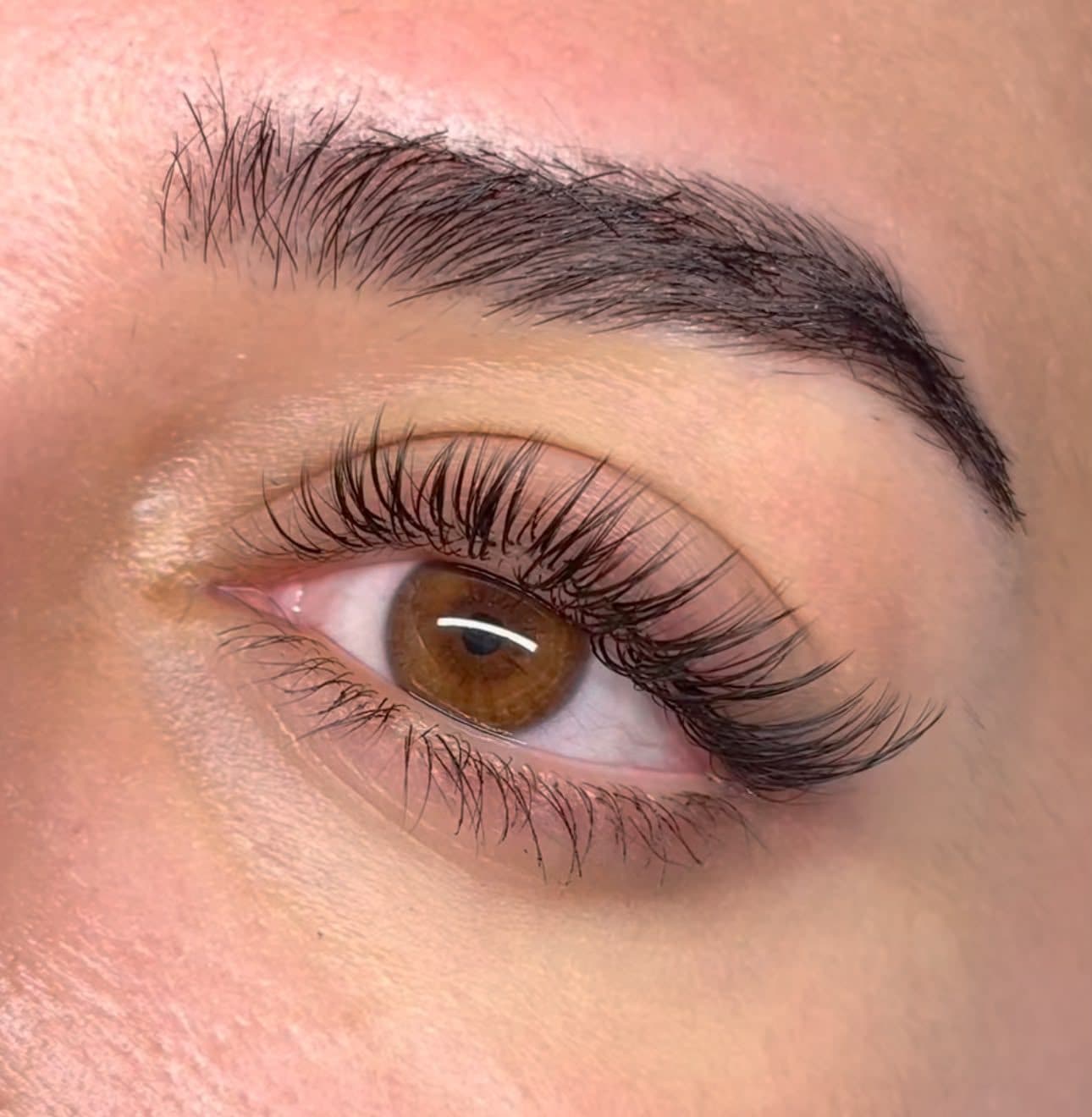 Gros plan d’un œil aux extensions de cils posées, courbure ouverte et sourcil dense, quelques jours après la pose.